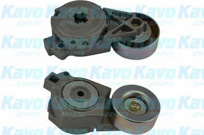 KAVO PARTS dtp5504 -  Натяжной ролик, поликлиновой  ремень
